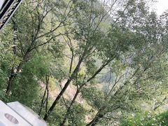 -伏羲大峡谷