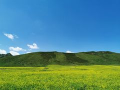 -扁都口生态休闲旅游区