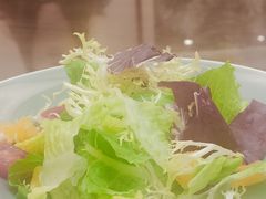 -鲁宴·鲁煨黄河生态大鲤鱼(月坛店)