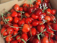 -山姆会员商店(大连店)
