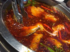 -蜀滋香鲜鱼美蛙火锅(339店)