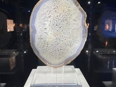 -中国地质大学逸夫博物馆