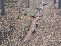 android_upload_pic-蒙山大佛景区