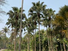 -中国科学院西双版纳热带植物园