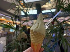 -野人先生Gelato(上海长宁龙之梦店)