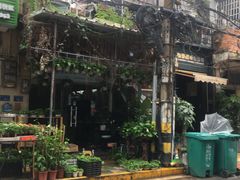-溪岸路花鸟市场