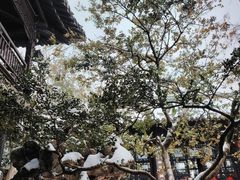 -何园