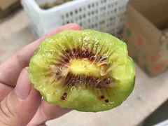 -菜园坝水果市场