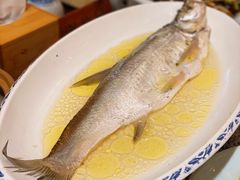 鸡汁白鱼-南京大牌档(凯德大峡谷店)