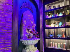 -雪灵魔法世界SHELLY’S TAROT(大良桂畔里店)