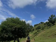 -关山草原