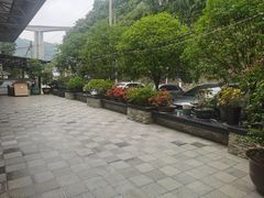 -江龙饭店·乌江豆腐鱼(乌江老桥头店)