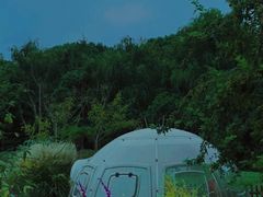 -同里国家湿地公园