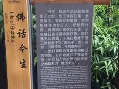 -川西竹海景区