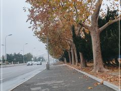 -旅顺博物馆