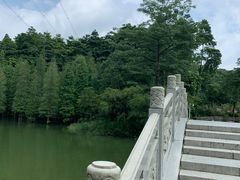-广州市帽峰山景区