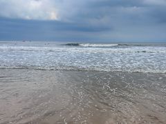 -日照海滨国家森林公园