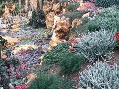 -南通洲际绿博园