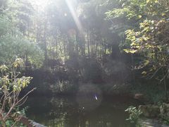 -庐山风景区花径公园