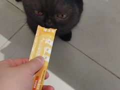 -怪兽屋·羊驼·猫咖·狗咖(俊华广场店)