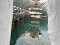 -鼎湖山风景区