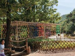 -鬼笑石后山停车场