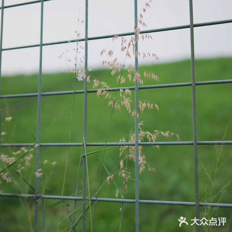 马峦北路.深圳又一条小众的日系片公路！