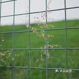 马峦北路.深圳又一条小众的日系片公路！