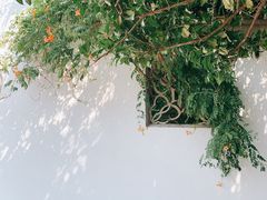 -山塘街