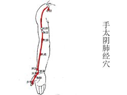 -清媚减肥瘦身纤体