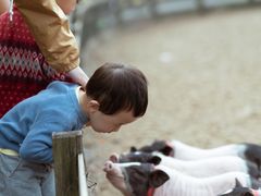 -前小桔亲子创意农场·草莓采摘·露营烧烤