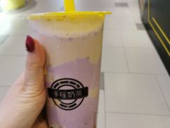 -快乐柠檬happylemon(日月光店)