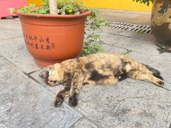 -开福禅寺