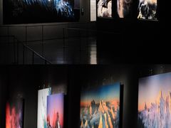 -罗红摄影艺术馆