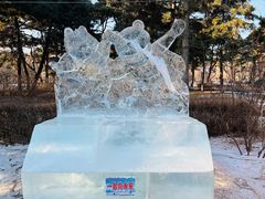 -长春市南湖公园