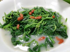 -新合益乡村农庄
