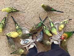 -珠海海泉湾神秘岛亲子乐园