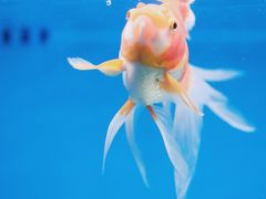 -合肥海洋世界