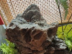-炊江南·上海菜(国展华漕店)