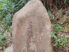 -番禺大夫山森林公园
