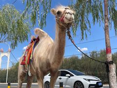 -黄河三峡风景名胜区