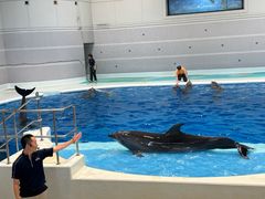 -鹿儿岛水族馆