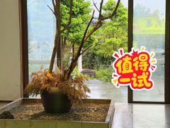 -宴武夷·匠心闽味(印象大红袍店)