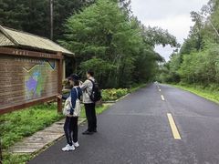 -汤旺河林海奇石景区