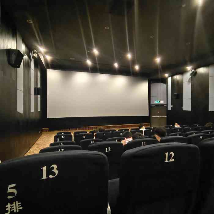 和平影都-"看大片的话还是比较推荐这家,,,imax."-大众点评移动版