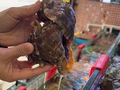 -鑫鸿达·海鲜闽菜热炒小馆(中山路店)