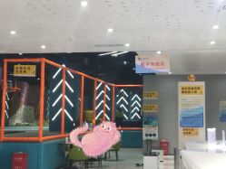 -反弹蹦床公园(柳南万达店)