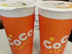 -CoCo都可(嘉兴学院店)