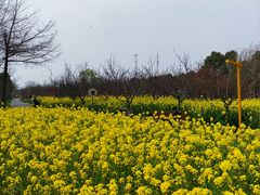 -柳鹭田园区