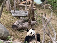 -南宁市动物园